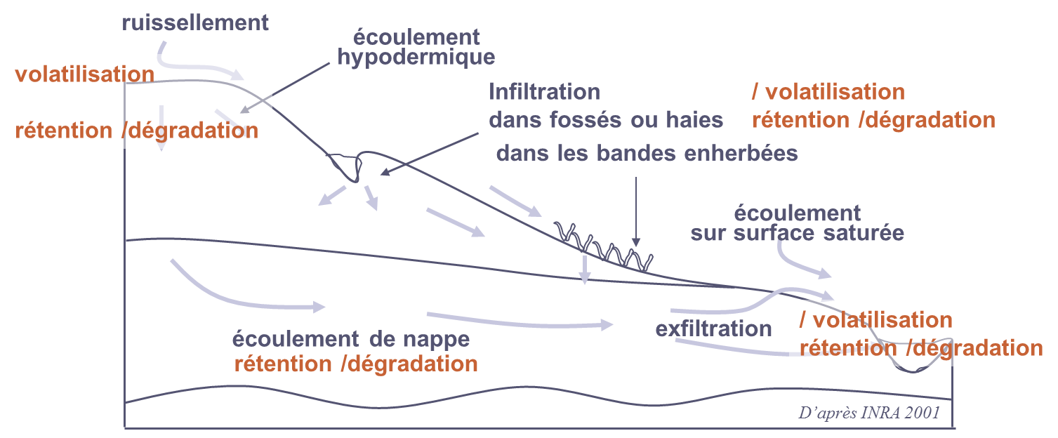 transfert_1